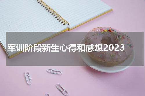 军训阶段新生心得和感想2023