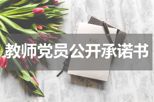 教师党员公开承诺书