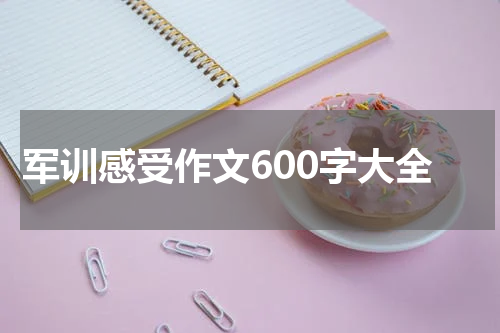 军训感受作文600字大全