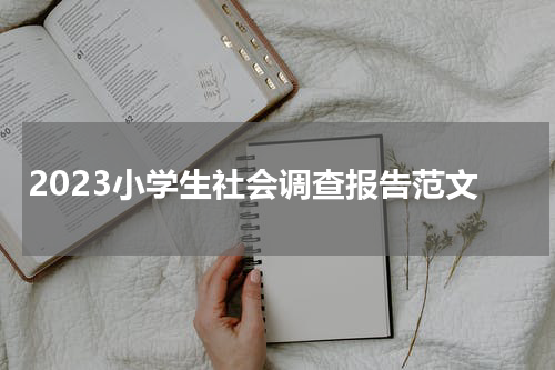 2023小学生社会调查报告范文