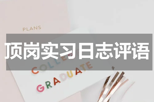 顶岗实习日志评语