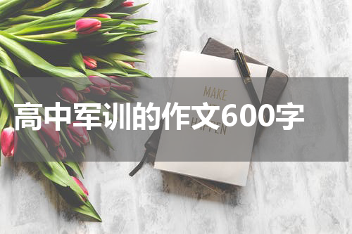 高中军训的作文600字