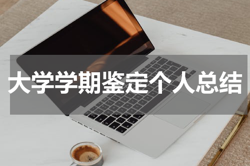 大学学期鉴定个人总结