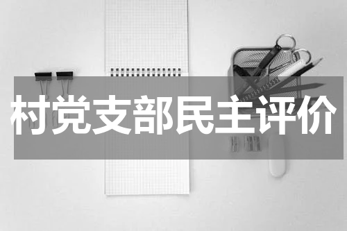 村党支部民主评价
