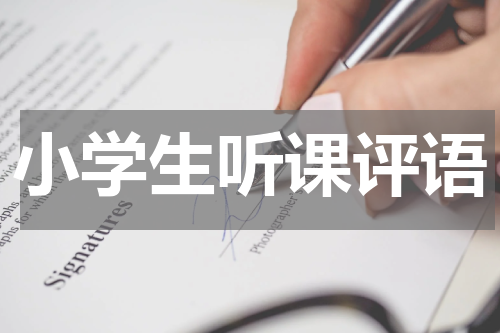 小学生听课评语