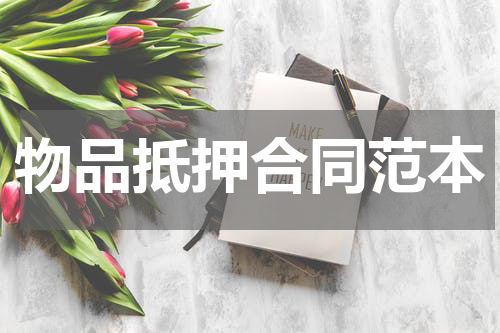 物品抵押合同范本