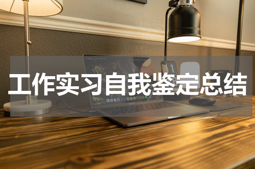 工作实习自我鉴定总结