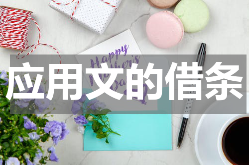 应用文的借条