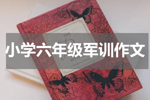 小学六年级军训作文