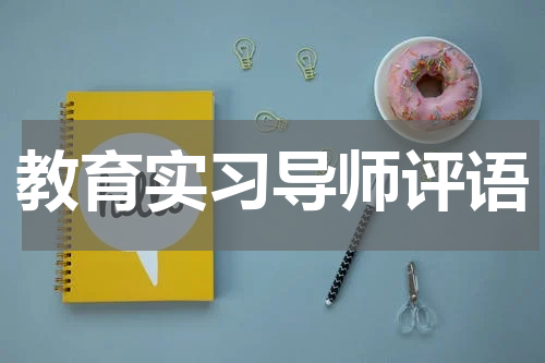 教育实习导师评语