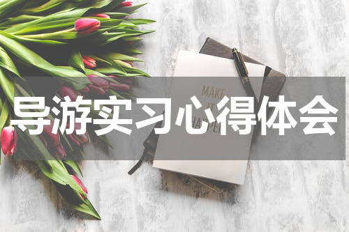 导游实习心得体会