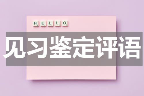 见习鉴定评语