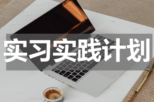 实习实践计划