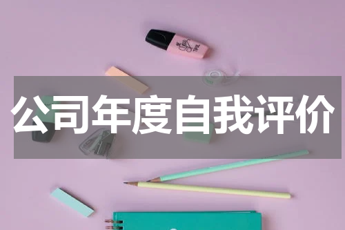 公司年度自我评价