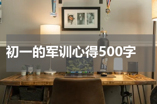 初一的军训心得500字