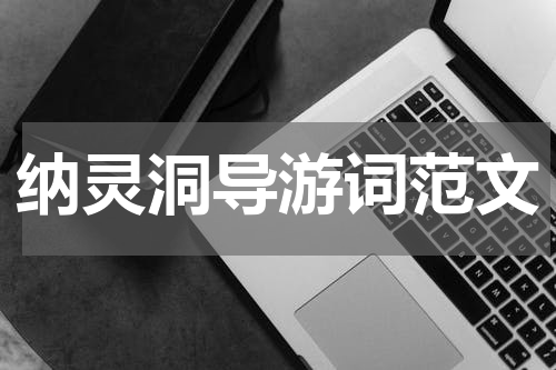 纳灵洞导游词范文