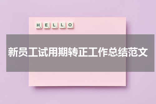 新员工试用期转正工作总结范文