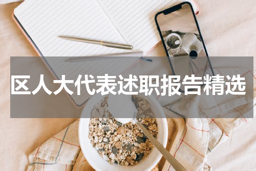 区人大代表述职报告精选