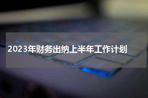 2023年财务出纳上半年工作计划