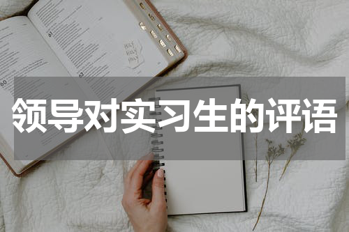 领导对实习生的评语