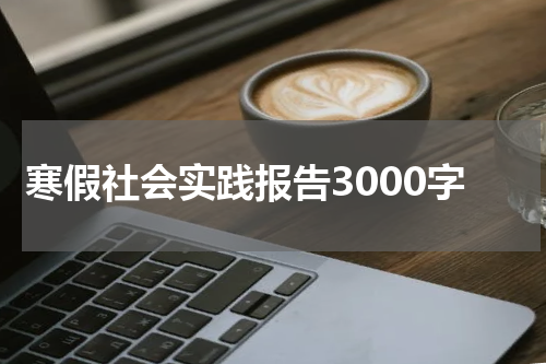 寒假社会实践报告3000字