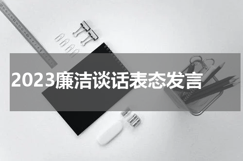 2023廉洁谈话表态发言