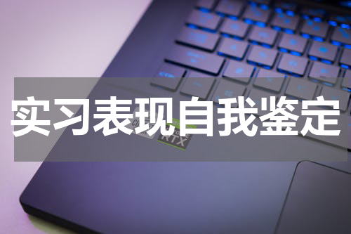 实习表现自我鉴定