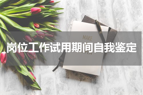 岗位工作试用期间自我鉴定