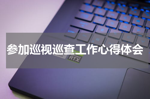 参加巡视巡查工作心得体会