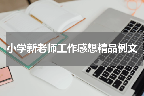 小学新老师工作感想精品例文