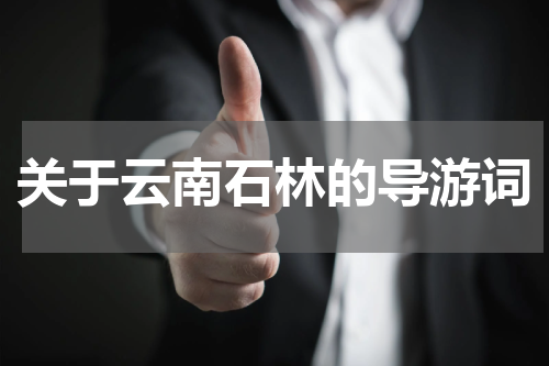 关于云南石林的导游词