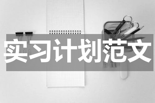 实习计划范文