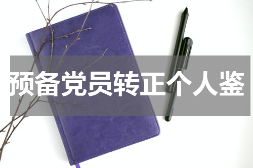 预备党员转正个人鉴