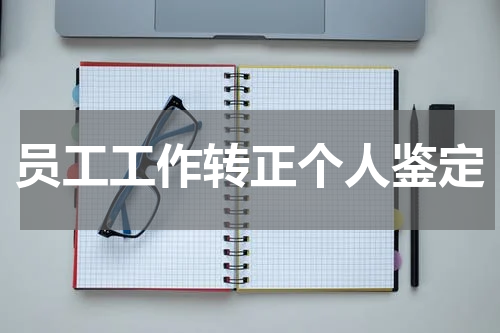员工工作转正个人鉴定