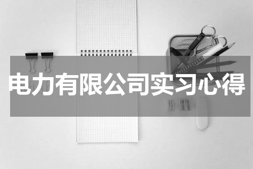 电力有限公司实习心得