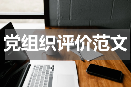 党组织评价范文