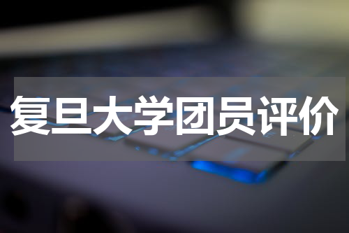 复旦大学团员评价