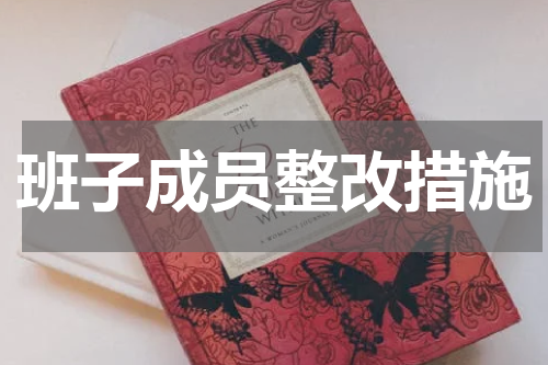 班子成员整改措施