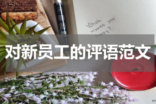 对新员工的评语范文