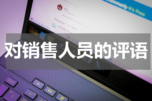 对销售人员的评语