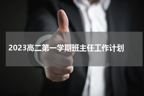 2023高二第一学期班主任工作计划