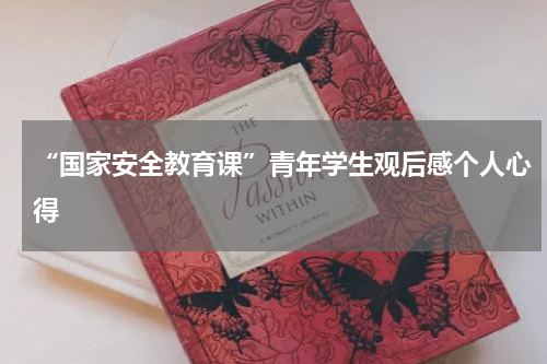 “国家安全教育课”青年学生观后感个人心得