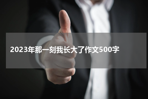 2023年那一刻我长大了作文500字