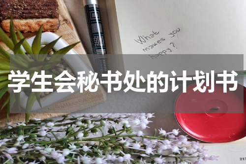 学生会秘书处的计划书