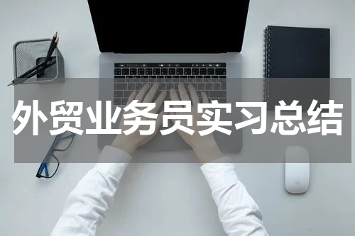 外贸业务员实习总结