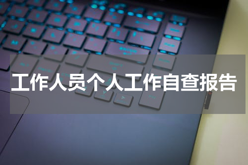 工作人员个人工作自查报告