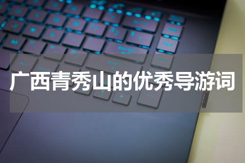 广西青秀山的优秀导游词