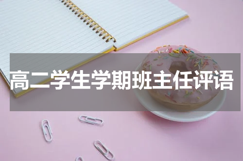 高二学生学期班主任评语