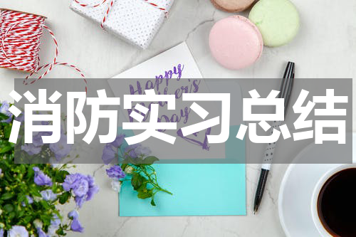 消防实习总结
