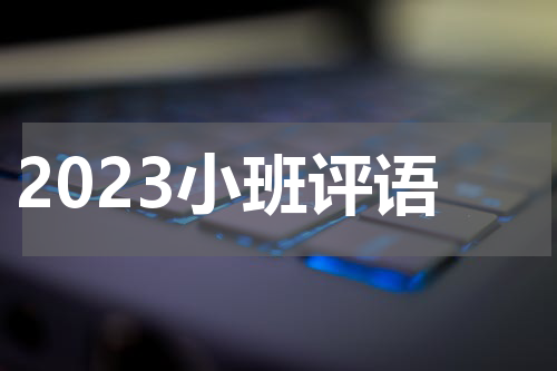 2023小班评语